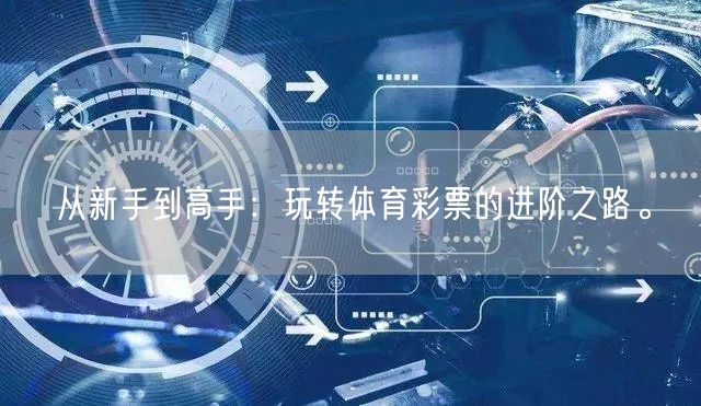 从新手到高手：玩转体育彩票的进阶之路。