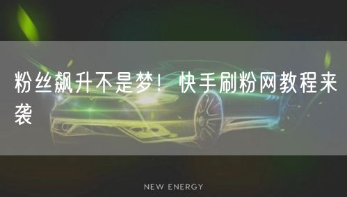 粉丝飙升不是梦！快手刷粉网教程来袭