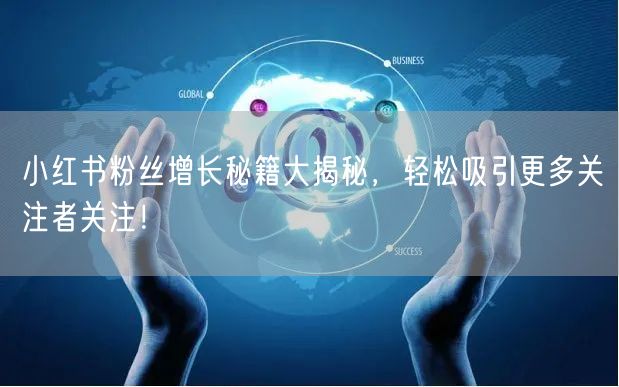 小红书粉丝增长秘籍大揭秘，轻松吸引更多关注者关注！