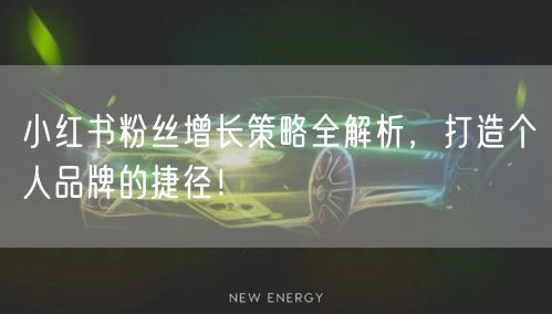 小红书粉丝增长策略全解析，打造个人品牌的捷径！