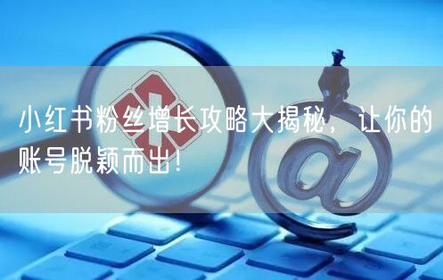 小红书粉丝增长攻略大揭秘，让你的账号脱颖而出！