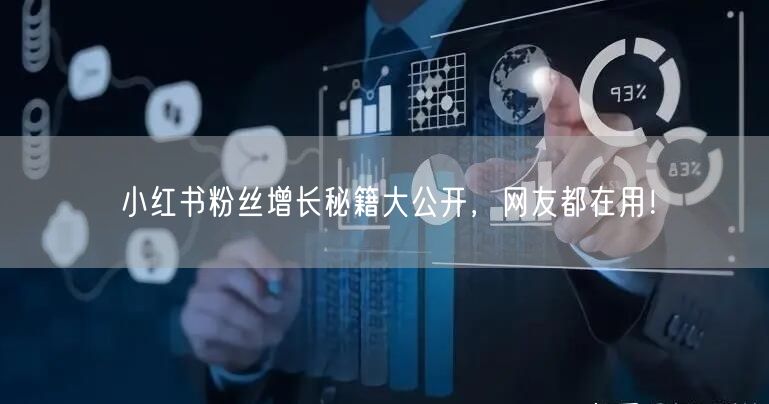 小红书粉丝增长秘籍大公开，网友都在用！