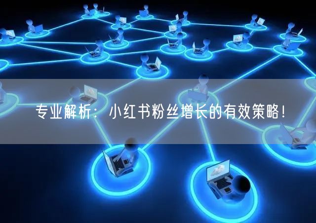 专业解析：小红书粉丝增长的有效策略！