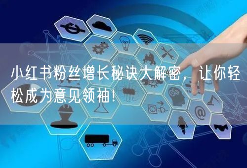 小红书粉丝增长秘诀大解密，让你轻松成为意见领袖！