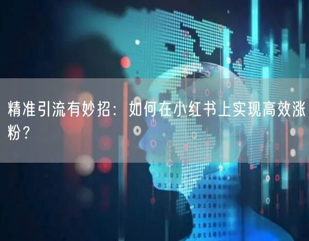 精准引流有妙招：如何在小红书上实现高效涨粉？