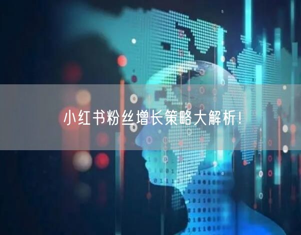 小红书粉丝增长策略大解析！