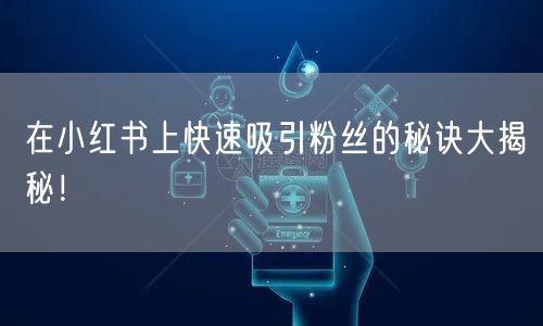 在小红书上快速吸引粉丝的秘诀大揭秘！