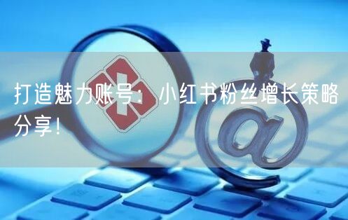 打造魅力账号：小红书粉丝增长策略分享！